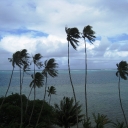 Raiatea Tour 12.JPG